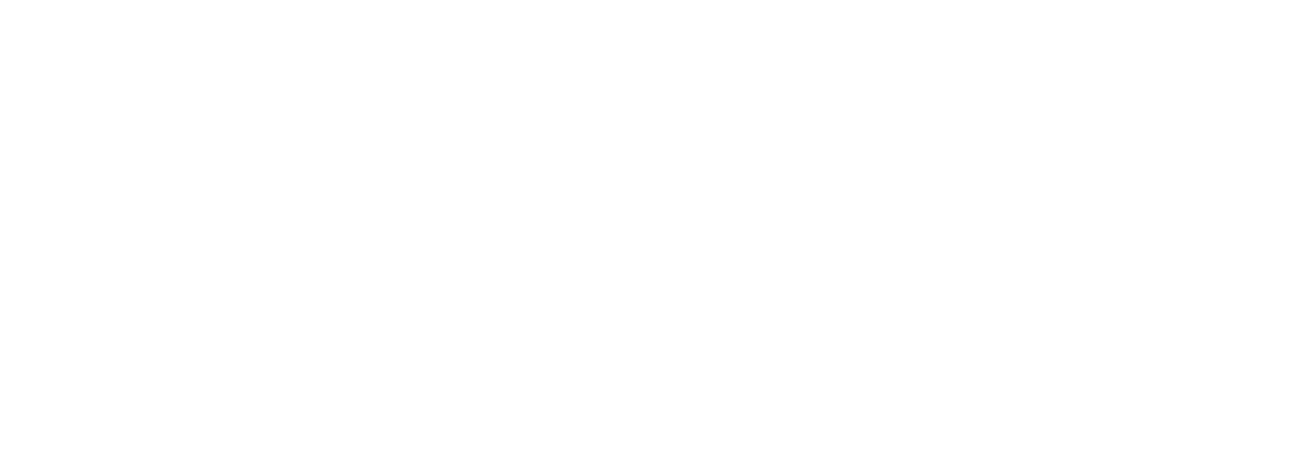 RTP PRO33